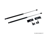 P2M Ford Mustang 2010-14 (S197) Black Series Engine Hood Damper. Fixed Price $82.56.