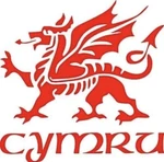 Welsh Dragon Cymru Vinyl Graphic Decal Car Bonnet Side Sticker Van. Fixed Price $9.35.