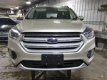 2018 Ford Escape Hood. Fixed Price $800.00.