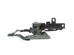 Front Bonnet Hinge Dx For Land Rover Range Evoque Series (18) (2018. Fixed Price $89.34.