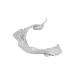 Gg Grand General 48270 Chrome Flying Lady Hood Ornament W/o Base. Fixed Price $151.64.