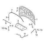 Genuine Ford Front Weather-strip M1PZ-16B990-A. Fixed Price $34.38.