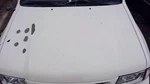 (local Pickup Only) Hood Door Fits 98-04 Isuzu Rodeo 300739. Fixed Price $99.99.