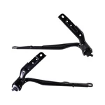 For Chrysler 300 2011-2022 Hood Hinges Driver And Passenger Side Pair. Fixed Price $53.20.