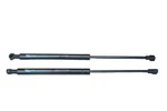 2008 - 2013 Bmw E90 E92 E93 M3 Front Left & Right Hood Lift Support Strut Oem. Fixed Price $30.00.