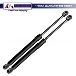 2X Front Lh& Rh Hood Lift Supports Strut For Cadillac Cts 2014-2019 PM3635 7025. Fixed Price $21.99.