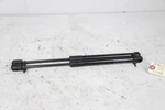 2017-2023 Tesla Model M3 Front Hood Left & Right Shock Lift Support Set 22K. Fixed Price $67.36.