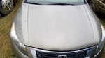 Hood Sedan Shocks Fits 08-12 Accord 271682. Fixed Price $747.11.