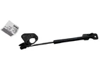 24-25 Model 3 Front Left Active Hood Lift Gas Strut & Reinforced 1645989-00-A. Fixed Price $107.68.