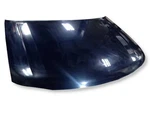 Blue Hood Fits 08-09 Taurus 10316823. Fixed Price $214.75.