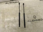2015-2020 Ford F150 Left & Right Hood Strut Pair FL34-16C826-AB Oem. Fixed Price $68.99.