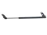 2012-2020 Tesla Model Left/right Hood Gas Strut Support 1062634-00-A Oem. Fixed Price $18.00.