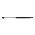 Genuine Ford Lift Cylinder FL3Z-16C826-B. Fixed Price $27.43.