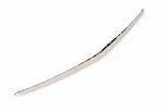 Genuine Gm Galvano Silver Hood Front Molding 84731887. Fixed Price $126.18.