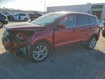 2017 Ford Escape Hood Panel Red Used Local Pickup Only 4DR Suv 117-02800. Fixed Price $320.62.