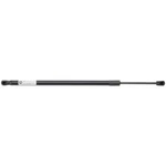 Garage Pro Hood Lift Supports Driver Left Side For Chevy Hand 85620978 Colorado. Fixed Price $25.04.