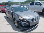 Used Hood Hinge Fits: 2014 Hyundai Sonata Grade. Fixed Price $88.49.