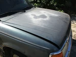 Hood Ford Ranger Pick Up Ex Cab 93 94 95 96 97. Fixed Price $127.49.