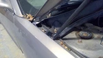 Passenger Right Hood Hinge Fits 06 Lacrosse 3827041. Fixed Price $25.00.