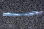 Nos 1967/68 Mustang Hood Lip Molding With Hardware, C7ZZ-16856-A. Fixed Price $650.00.