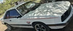 1982 Mercury Capri Rs Hood With Special Scoop. Foxbody Mustang Cousin.. Fixed Price $900.00.