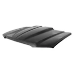 For Chevy Silverado 1500 03-05 Goodmark Pro Efx Cowl Induction Hood Panel. Fixed Price $561.44.
