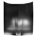 For Pontiac Firebird 1977-1981 Dynacorn 1069R Hood Panel. Fixed Price $472.88.