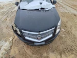 2012 Cadillac Srx Used Hood Panel Black Genuine Oem Local Pick Up Only. Fixed Price $284.95.