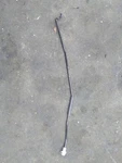 18 Toyota Corolla Hood Sturt Steel Prop Rod. Fixed Price $105.44.
