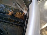 Driver Left Hood Hinge Fits 10 Jetta 3603551. Fixed Price $25.00.