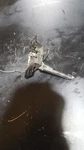 Oem Gm Hood Latch: 2011 Chevy Cruze - 95989867. Fixed Price $80.00.