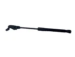 2011 - 2016 Bmw 528I 535I F10 Right Side Hood Lift Support Cylinder Oem. Fixed Price $14.99.