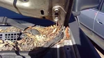 1997 - 2001 Honda Crv Hood Hinge Rh Passenger Side Oem 60120ST0000ZZ. Fixed Price $28.69.
