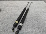 Lexus 92-00 SC300 SC400 Oem Left & Right Hood Lift Support Shock Hinges Set. Fixed Price $30.13.