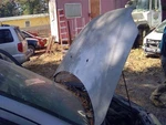 Hood Ntbk Fits 07-11 Aveo 3596069. Fixed Price $150.00.