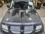 (local Pickup Only) Hood Fits 07-11 Nitro 592958. Fixed Price $158.01.