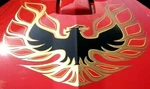1973-78 Trans Am Complete Decal Kit Gold W Pc Hood Bird -gm Lic. Made In Usa. Fixed Price $379.00.