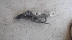 Bmw X3 E83 Left Side Hood Bonnet Hinge Monaco Blue Free Ship Oem 3453239. Fixed Price $32.99.