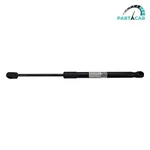 2017 2018-2023 Tesla Model M3 Front Hood Shock Strut Lift Support Oem. Fixed Price $24.99.