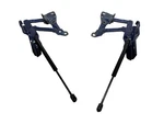16-25 Oem Tesla Model X Front Right Left Driver Passenger Hood Hinge Black Set. Fixed Price $198.00.