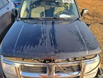 Hood Fits 07-11 Nitro 4751674. Fixed Price $136.50.