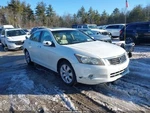 (local Pickup Only) Hood Sedan Shocks Fits 08-12 Accord 936015. Fixed Price $344.90.