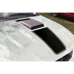 Graphic Express Hood Kit With Pinstripe Matte Black Mach 1 Mustang 200.... Fixed Price $89.09.