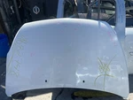 2007 2008 2009 10 Hyundai Entourage - Hood Panel *** Only For Pick It Up Here In. Fixed Price $280.00.