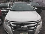 (local Pickup Only) Hood Fits 11-14 Edge 3095241. Fixed Price $174.99.