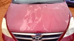 Hood Fits 07-10 Entourage 238439. Fixed Price $659.99.