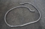 Forward Hood Weatherstrip Rubber Seal 97051161101 Porsche Panamera 2010-2016. Fixed Price $47.99.