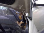 Driver Left Hood Hinge Fits 14 Terrain 3755416. Fixed Price $25.00.
