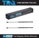 Trq Hood Lift Support Set For 1999-2004 Chrysler 300M 1998-2004 Dodge Intrepid. Fixed Price $40.95.