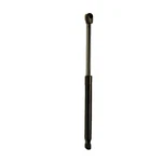 Ford F-150 Front Passenger Side Hood Shock Lift Support 2015 2020 Oem. Fixed Price $28.00.